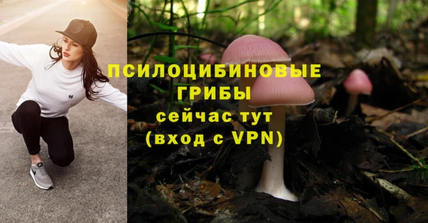 jwh Богородицк