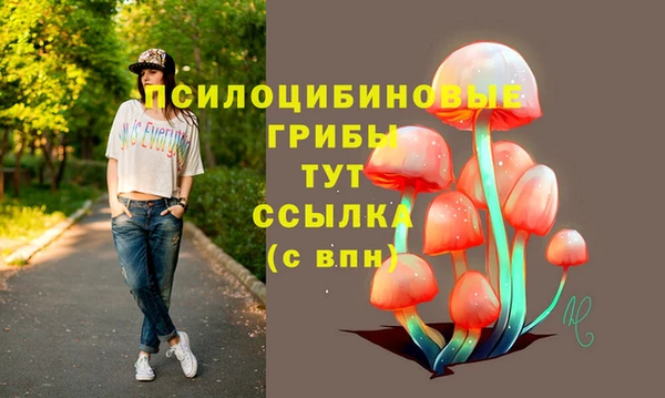 дмт Богородск