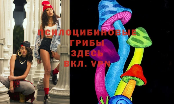 дмт Богородск