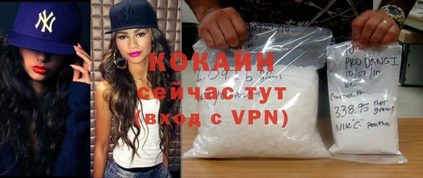 дмт Богородск